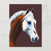 Briefkaart Mustang Horse (Voorkant)