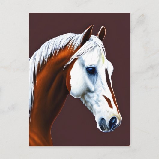 Briefkaart Mustang Horse (Voorkant)