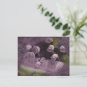 Briefkaart Muziek en Rozen (Staand voorkant)