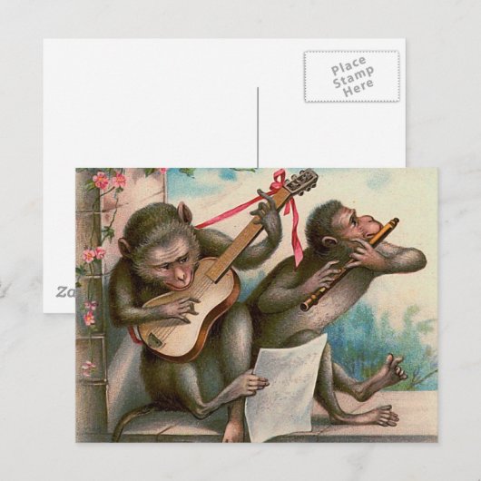 briefkaart " muzikale apen" (Voorkant / Achterkant)