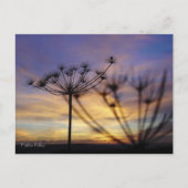 Briefkaart najaar Sunset Echoes (Voorkant)