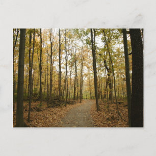 Briefkaart najaarbomen