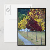 Briefkaart najaarbomen (Voorkant / Achterkant)