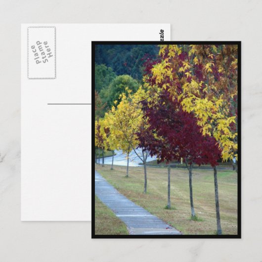 Briefkaart najaarbomen (Voorkant / Achterkant)