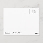 Briefkaart najaarbomen (Achterkant)