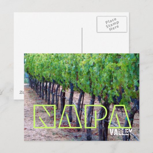 Briefkaart Napa Valley (wijn) (Voorkant / Achterkant)