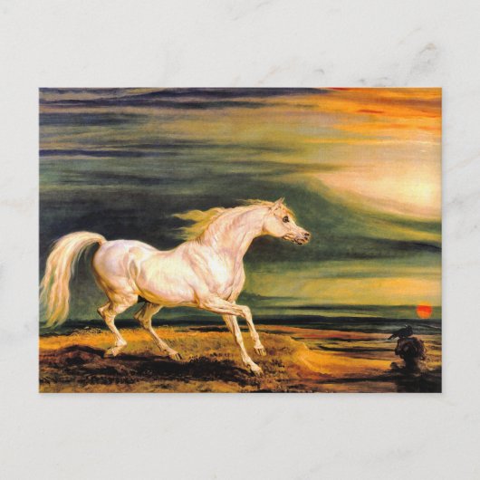 Briefkaart: Napoleon's Marengo Briefkaart (Voorkant)