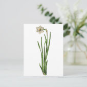 Briefkaart - Narcissus (Staand voorkant)