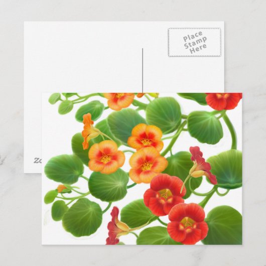 Briefkaart Nasturtium Flowers (Voorkant / Achterkant)