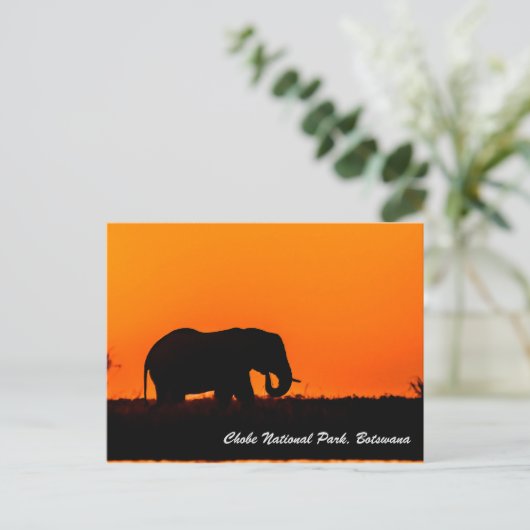 Briefkaart Nationaal Park Chobe (Staand voorkant)