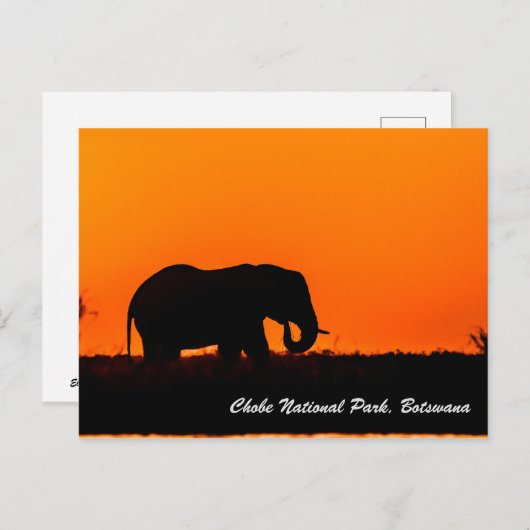 Briefkaart Nationaal Park Chobe (Voorkant / Achterkant)