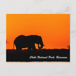 Briefkaart Nationaal Park Chobe
