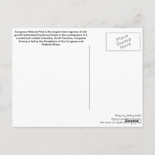 Briefkaart - Nationaal Park Congaree (Achterkant)
