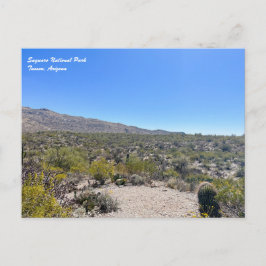 Briefkaart nationaal park Saguaro