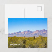 Briefkaart nationaal park Saguaro (Voorkant / Achterkant)