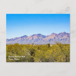 Briefkaart nationaal park Saguaro