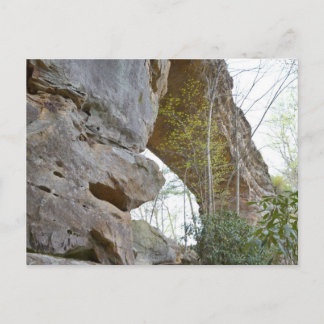 Briefkaart Natural Bridge Kentucky
