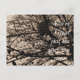  Briefkaart Natuur Fotografie