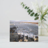 Briefkaart "Natuur. Litouwen, Palanga" (Staand voorkant)