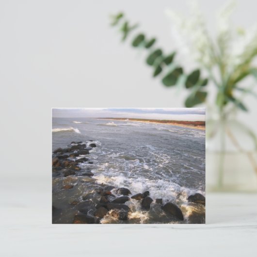 Briefkaart "Natuur. Litouwen, Palanga" (Staand voorkant)