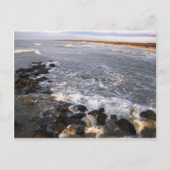 Briefkaart "Natuur. Litouwen, Palanga" (Voorkant)