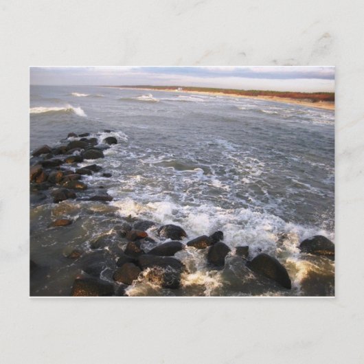 Briefkaart "Natuur. Litouwen, Palanga" (Voorkant)