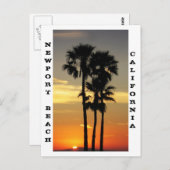Briefkaart Newport Beach (Voorkant / Achterkant)