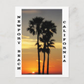 Briefkaart Newport Beach (Voorkant)