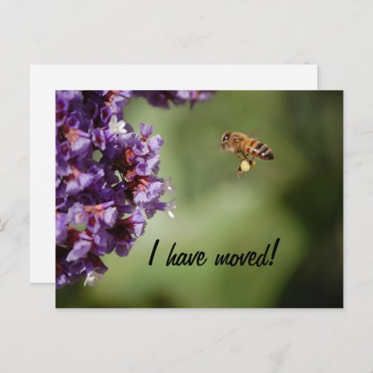 Briefkaart Nieuw adres (Voorkant / Achterkant)