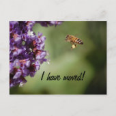 Briefkaart Nieuw adres (Voorkant)