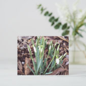 Briefkaart Nieuwe groei (Staand voorkant)