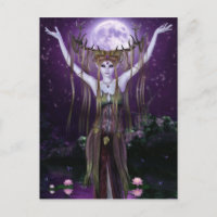 Briefkaart Night Creatures