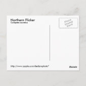 Briefkaart Noord-Flicker (Achterkant)
