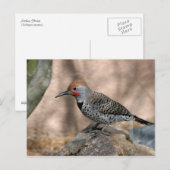 Briefkaart: Noordelijke flikkering Briefkaart (Voorkant / Achterkant)