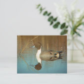 Briefkaart Noordelijke Pintail (Staand voorkant)