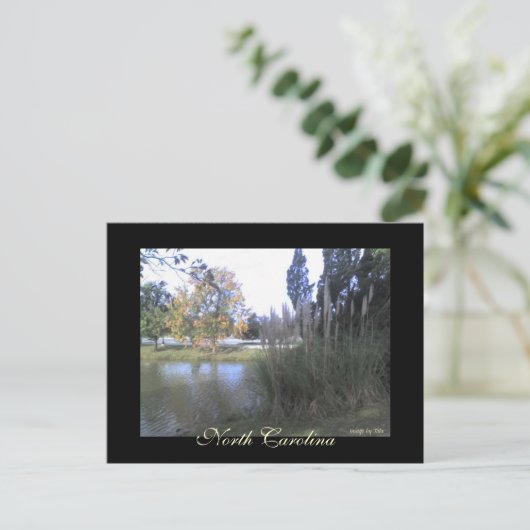Briefkaart North Carolina (Staand voorkant)