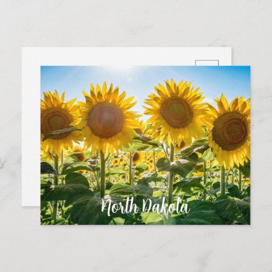 Briefkaart North Dakota (Voorkant / Achterkant)