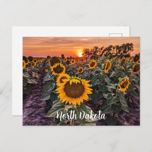 Briefkaart North Dakota (Voorkant / Achterkant)