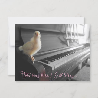 Briefkaart Nóta beag le rá / Om maar te zeggen