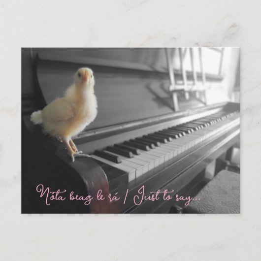 Briefkaart Nóta beag le rá / Om maar te zeggen (Voorkant)