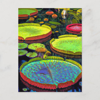 Briefkaart Nymphaeales