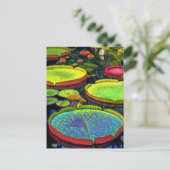 Briefkaart Nymphaeales (Staand voorkant)