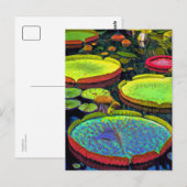 Briefkaart Nymphaeales (Voorkant / Achterkant)