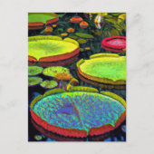 Briefkaart Nymphaeales (Voorkant)