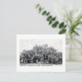  Briefkaart Oak Jacksonville Florida (Staand voorkant)