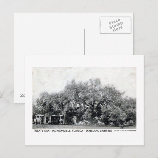  Briefkaart Oak Jacksonville Florida (Voorkant / Achterkant)