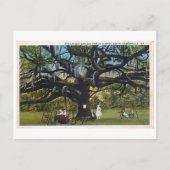  Briefkaart Oak Jacksonville Florida (Voorkant)