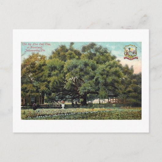  Briefkaart Oak Jacksonville Florida (Voorkant)