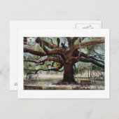  Briefkaart Oak Jacksonville Florida (Voorkant / Achterkant)