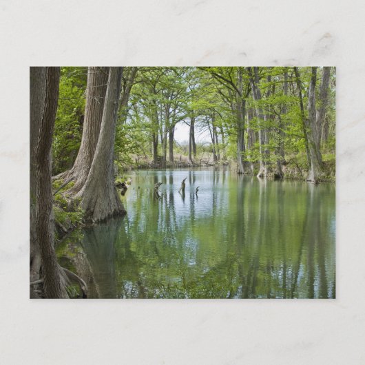 Briefkaart - "Oasis" (Voorkant)